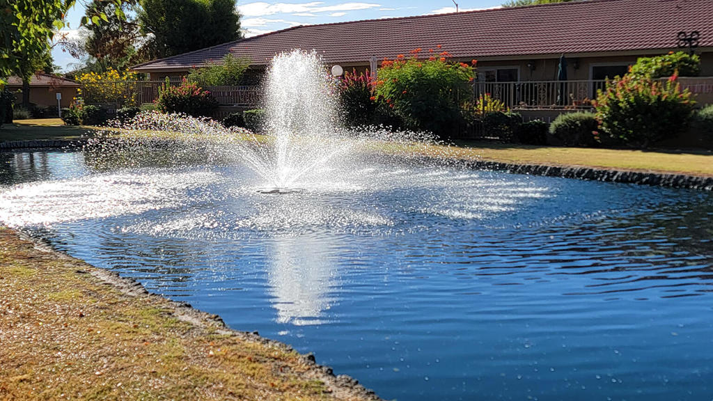 Indian Palms (31432) - Residential