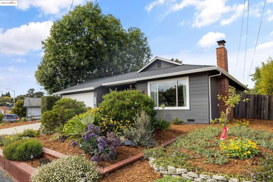 Welcome to 3179 Keith Drive, a charming ranch-style home with a newer roof (7/2025) nestled in Richmond’s highly sought-after May Valley neighborhood. This move-in ready 3-bedroom, 2-bath residence blends comfort, convenience, and character with thoughtful updates and inviting living spaces. Open the door to a bright living room with wood floors, dual-pane windows throughout, and a cozy fireplace. The living and kitchen areas capture beautiful views of rolling hills, filling the home with natural light. The primary suite feels like a private retreat, featuring a refreshed bathroom, separate vanity space, and sliding door that opens directly to the backyard. One of the other two bedrooms has been smartly designed for maximizing space with a built-in desk, bookshelves, and Murphy bed. The spacious backyard oasis offers multiple patios, several spaces for gardening, fruit trees, and even a Bocce court—ideal for entertaining or relaxing in your private setting. Additional highlights include a two-car garage, driveway parking, and low-maintenance landscaping and solar lights in the front yard. Living in Richmond’s May Valley neighborhood offers a unique blend of natural beauty and community warmth that residents appreciate. The area is surrounded by scenic hills, parks, and open space