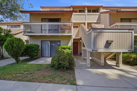 Photo of 39902 Fremont Boulevard, Fremont, CA 94538 (MLS # ML82042042)