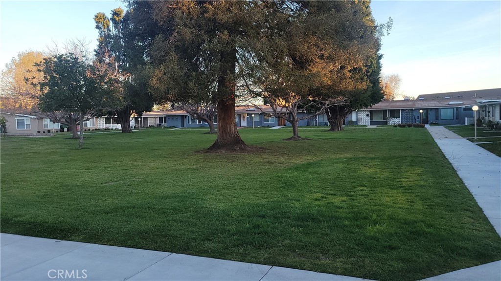 13671 Annanadale Drive 10G