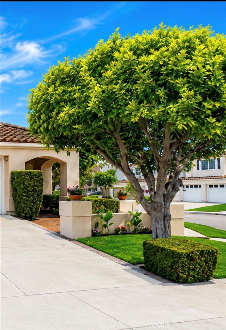 13382 S Presidio