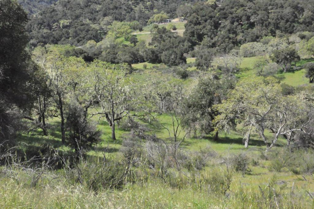 190 Cachagua Road