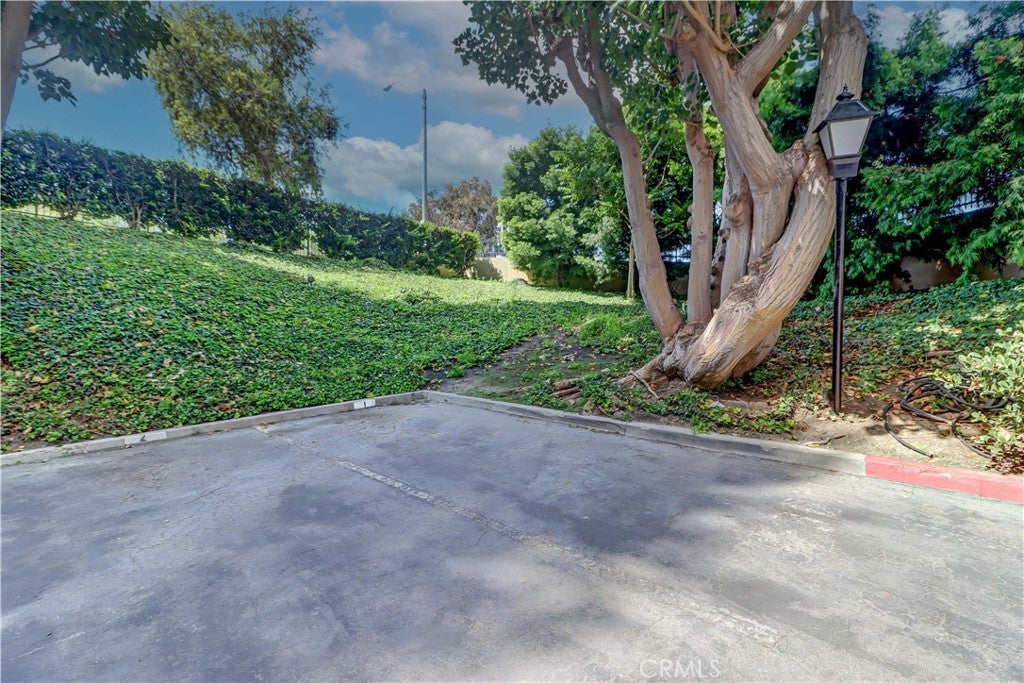 576 N Bellflower Boulevard 303