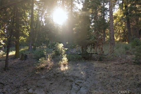 Photo of 20 Burnt Mill Canyon Road, Cedarpines Park, CA 92322 (MLS # CV25074361)