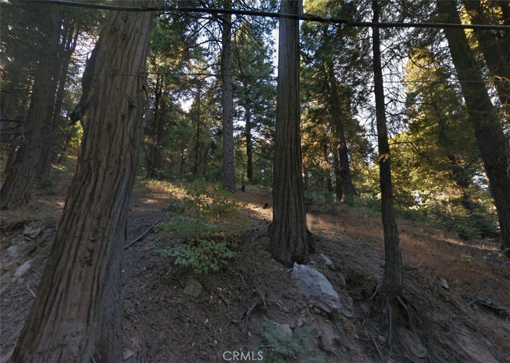 20 Burnt Mill Canyon Road
