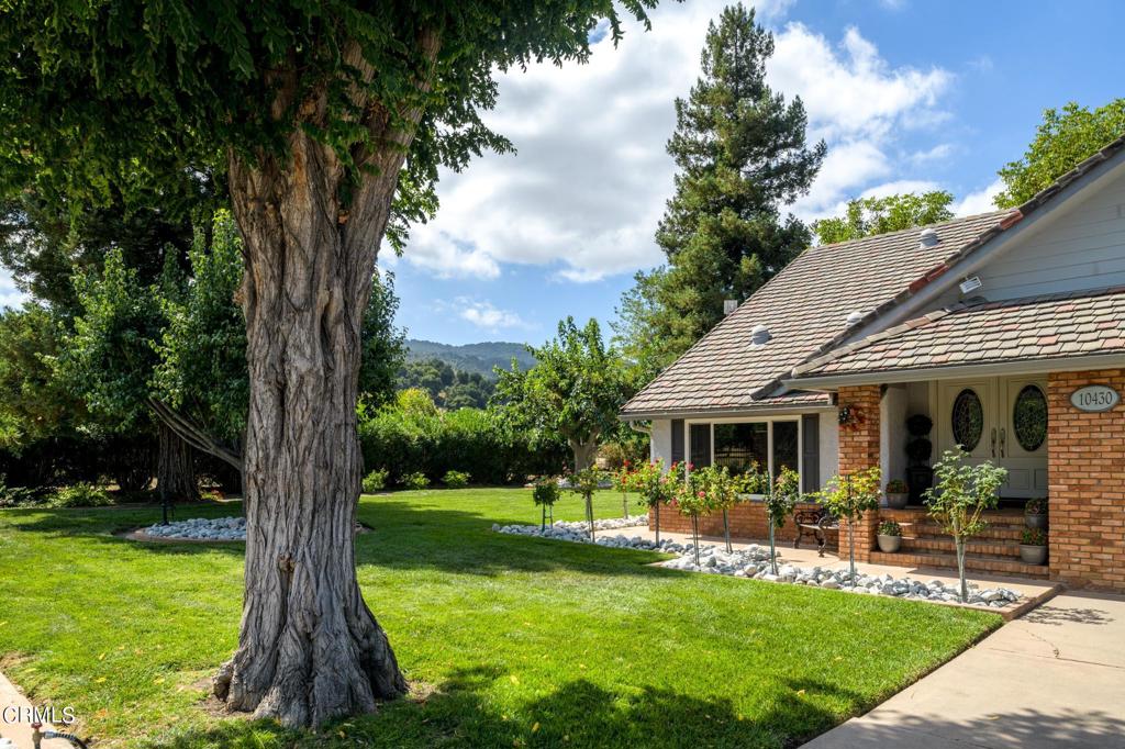 Home sweet home ranch, your country dream come true! Discover the beauty of country living on this enchanting five-acre property, set against the breathtaking backdrop of the Topa Topa Mountains. This classic ranch-style home, full of warmth and nostalgia, welcomes you with open arms. Step into the inviting 4-bedroom, 3-bath home where you instantly feel the joy and laughter of gatherings shared over the years. The spacious kitchen, centered around a large island, sets the perfect stage for crafting memorable meals while swapping stories with loved ones. Sunlight pours into every room, creating cozy living spaces where you want to linger, belong, and make new memories. Step outside to a park-like setting with a sparkling pool, perfect for refreshing swims or outdoor games on the lush, expansive lawn. As evening falls, fire up the grill for a barbecue, then gather around a crackling fire for s'mores under the stars. Upstairs, family and guests will rest in four welcoming bedrooms, including a loft adorned with a mural inspired by the meadows and flower fields of years past. The property, complete with a well, a brand-new 1,500-gallon septic tank, and a barn, offers endless possibilities for sustainable living--whether you're dreaming of farming, creating an equestrian paradise, or simply embracing the tranquility of rural life. Welcome to a home where lasting memories and boundless potential await! The homeowners are willing to sell the home furnished.