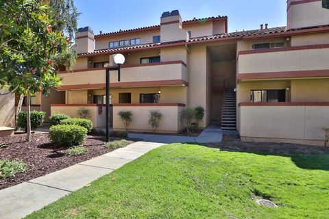 Photo of 20666 Celeste Circle, Cupertino, CA 95014 (MLS # ML82034265)