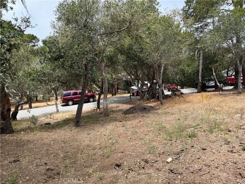 Tiny photo for 0 Langton, Cambria, CA 93428 (MLS # SC26130082)
