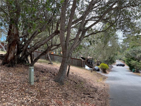 Tiny photo for 0 Langton, Cambria, CA 93428 (MLS # SC26130082)