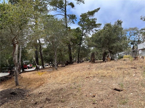 Tiny photo for 0 Langton, Cambria, CA 93428 (MLS # SC26130082)