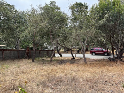 Tiny photo for 0 Langton, Cambria, CA 93428 (MLS # SC26130082)