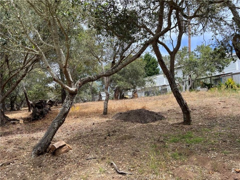 Tiny photo for 0 Langton, Cambria, CA 93428 (MLS # SC26130082)