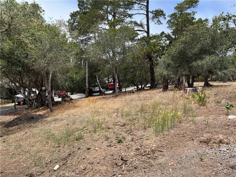 Tiny photo for 0 Langton, Cambria, CA 93428 (MLS # SC26130082)