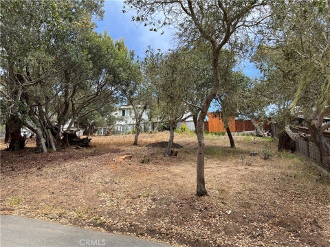 Photo of 0 Langton, Cambria, CA 93428 (MLS # SC26130082)