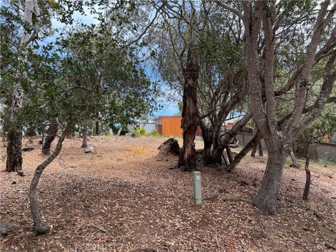 Tiny photo for 0 Langton, Cambria, CA 93428 (MLS # SC26130082)