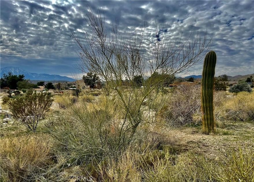 SELLER MAY CARRY ***WATER IS IN!  The address has been established at this gorgeous 2.5 acre parcel in Morongo Valley. Power is at the street.
On a paved road with views in every direction including Mount San Jacinto and the surrounding protected Sand to Snow monument mountain ranges.
Perfect for building a desert retreat, vacation home, or long-term investment. Take it all in as you walk the four corners of this spectacular property.
Joshua Tree National monument is just a quick drive as well as Pioneertown, local restaurants, farmers markets and a world class bird sanctuary.
This property is easy to get to and ready for your next project.