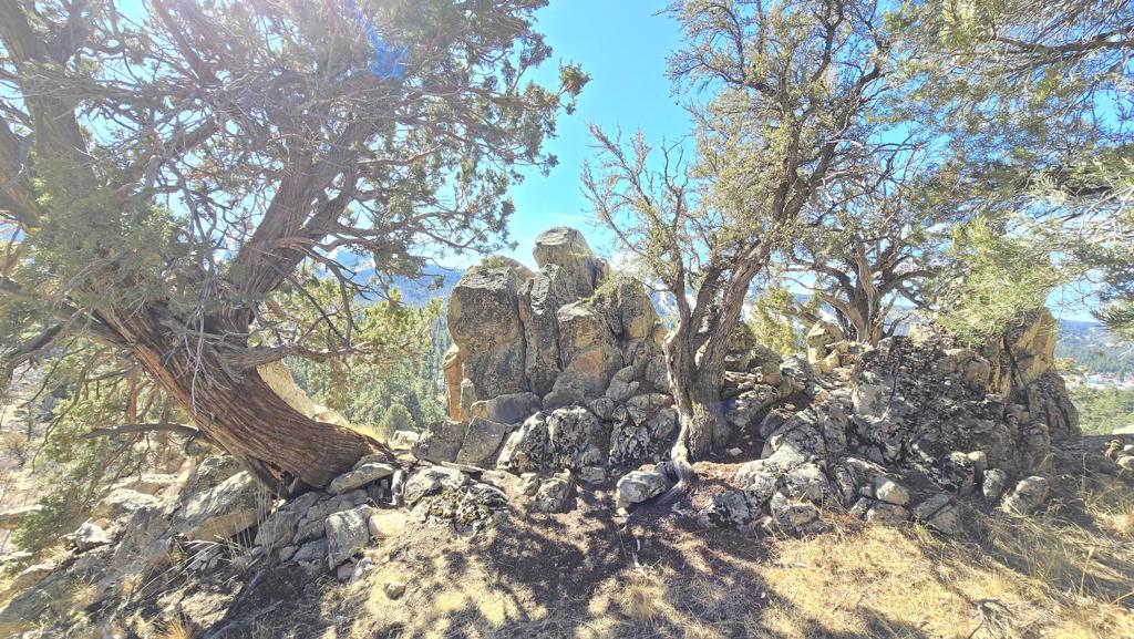 Not Applicable-1 - Land