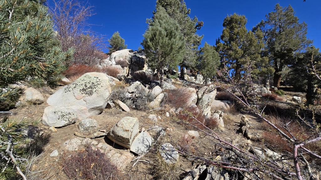 Not Applicable-1 - Land