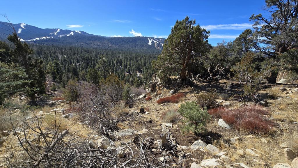 Beautiful views from atop the mountainside in Castle Glen Estates area. Direct views of both ski slopes and of the surrounding Big Bear valley below. Great plot of land for a new build. There are gorgeous trees and natural boulder formations on this property giving it greater character than many other available properties. Seller will consider offers but is currently offering ''1st right of refusal'' to any prospective purchasers of the house at 42530 Pegasus Way (located across the street).