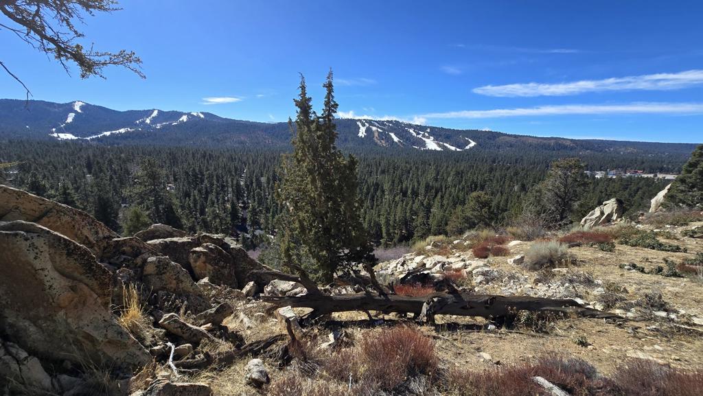 Not Applicable-1 - Land