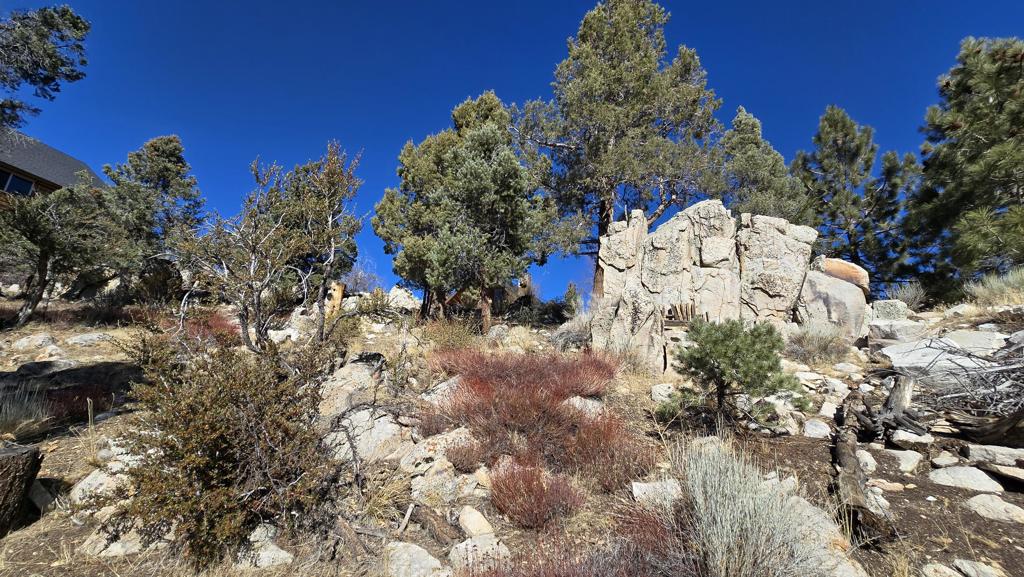 Not Applicable-1 - Land