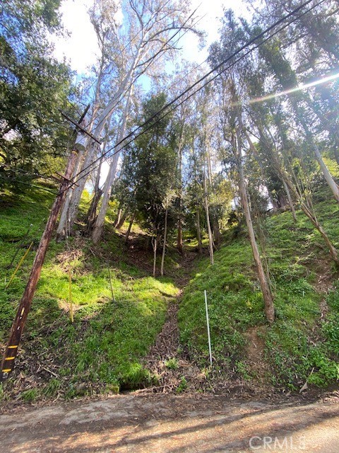 This piece of land features natural beauty in a quiet setting. Come see what possibilities await you!