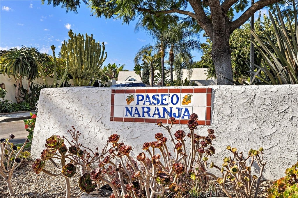 31311 Paseo Naranja, San Juan Capistrano CA 92675 - Photo 34