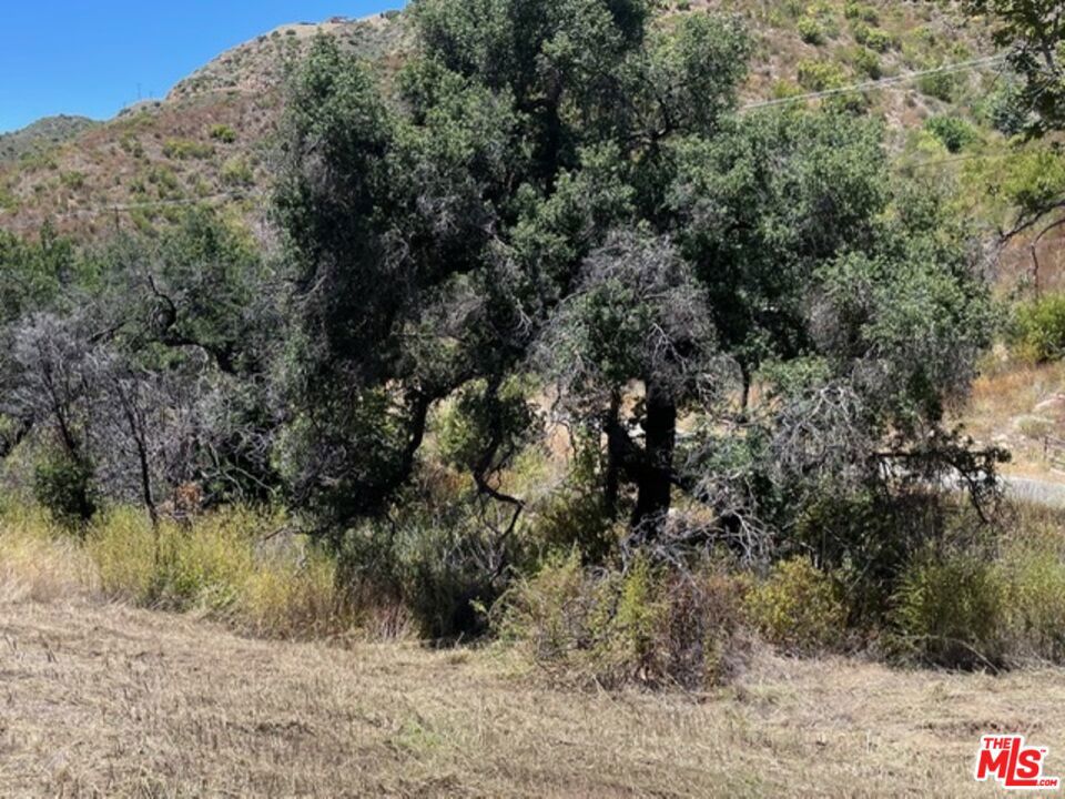 Just under 6 ACRES, only minutes off of Kanan Rd. Pastoral view from the hillside meadow building site. Small neighborhood and very private. This is a lightly traveled street with very little vehicle traffic. Seasonal creek runs through the land with a mix of oak and sycamore trees. All just minutes from the 101 or the western beaches of Malibu. Grab this offer before it becomes someone else's dream site. Nothing like this left at this price.