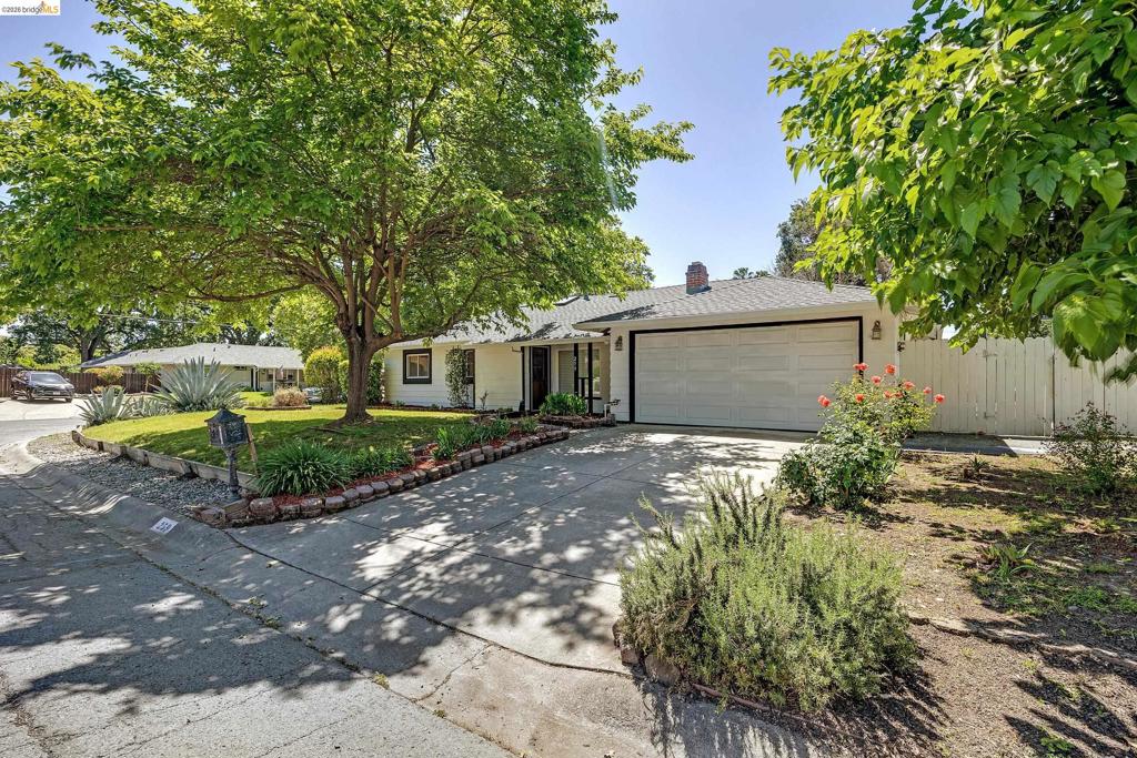259 Gloria Dr Dr, Pleasant Hill CA 94523