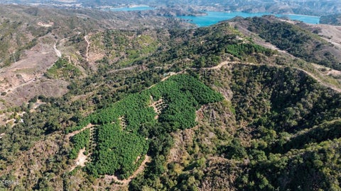 Tiny photo for 4292 Casitas Pass Road, Ventura, CA 93001 (MLS # V1-39503)