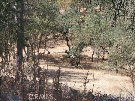 Tiny photo for 5129 Northfork, Paso Robles, CA 93446 (MLS # SC25236278)