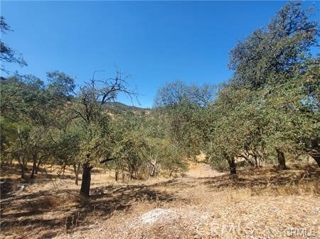 Tiny photo for 5129 Northfork, Paso Robles, CA 93446 (MLS # SC25236278)