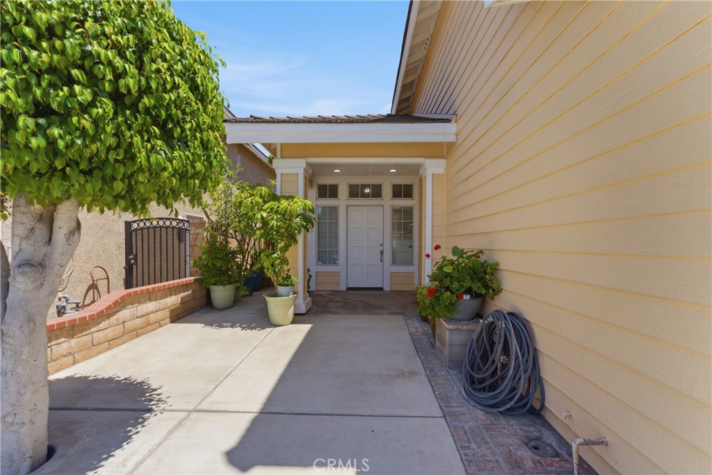 11413 Citrus Glen