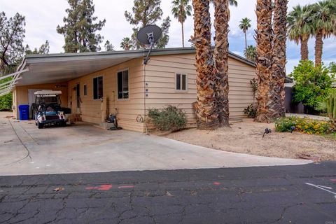 1010 Palm Canyon Drive 163 Borrego Springs CA 92004