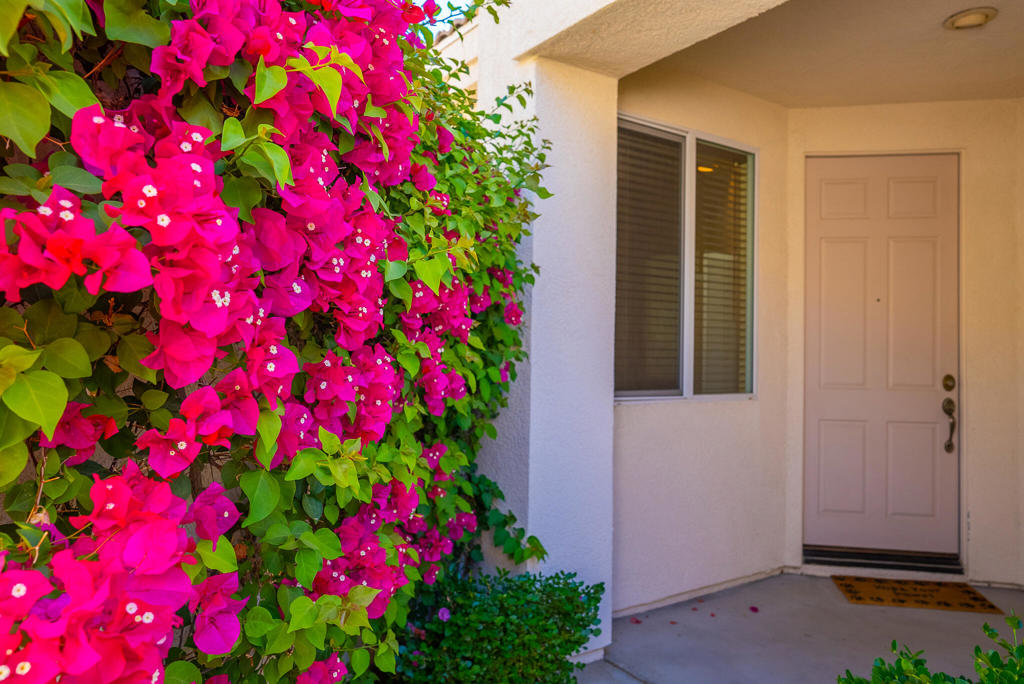 Desert Princess - Residential Lease