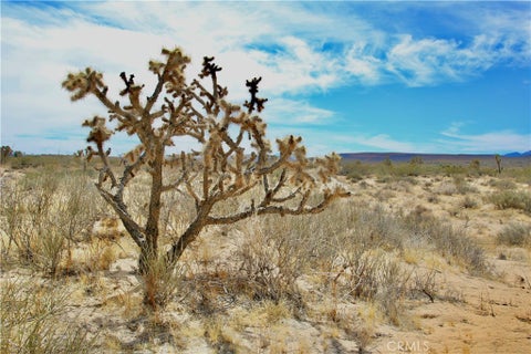 Photo of 0 Mitch Lane, Landers, CA 92285 (MLS # JT26211038)