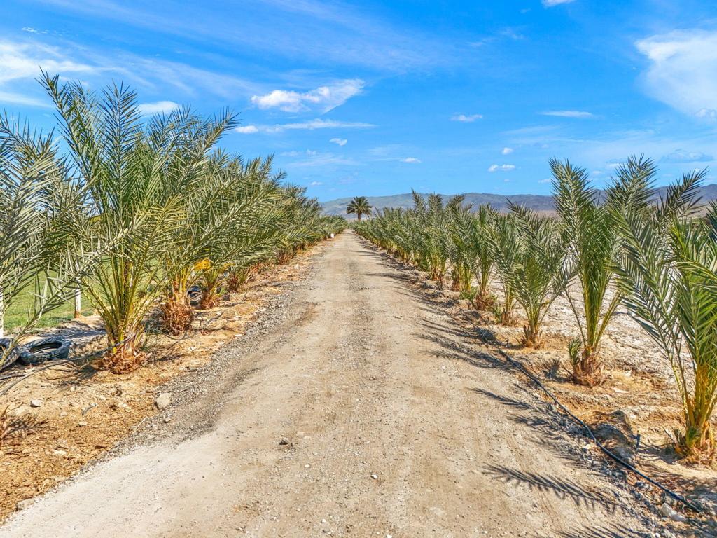 Not Applicable-1 - Land