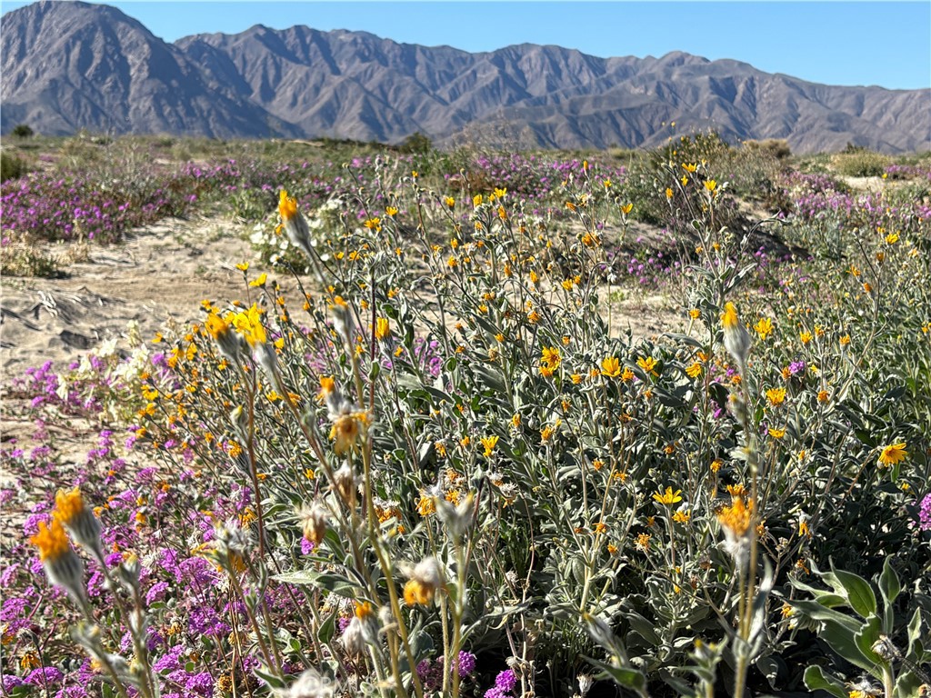 2315 Henderson Canyon