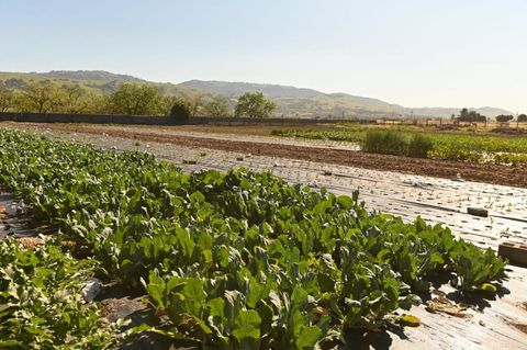 Photo of 1600 Barrett Avenue, Morgan Hill, CA 95037 (MLS # ML82039844)