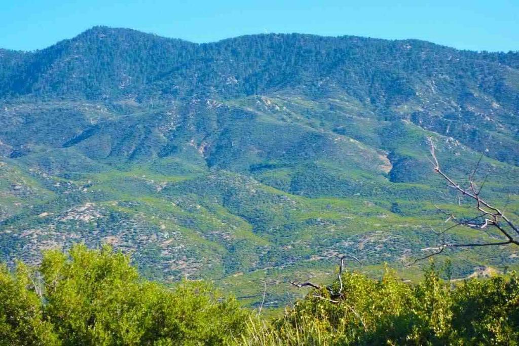 Alpine Village/Pyn P - Land