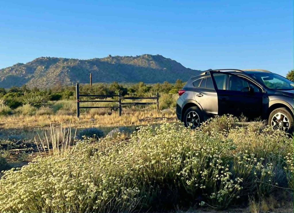 Alpine Village/Pyn P - Land