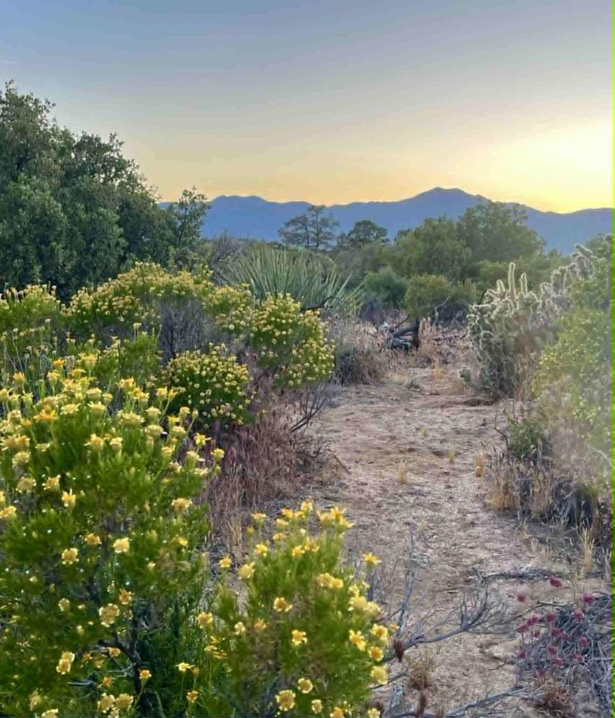 Alpine Village/Pyn P - Land