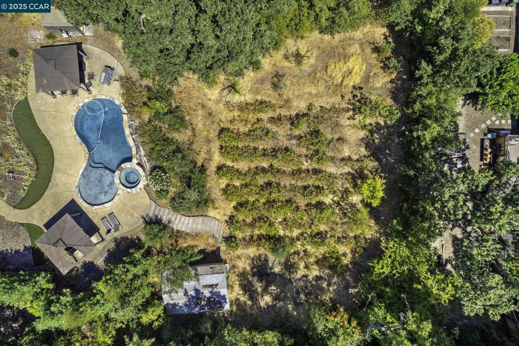 WALNUT CREEK - Residential