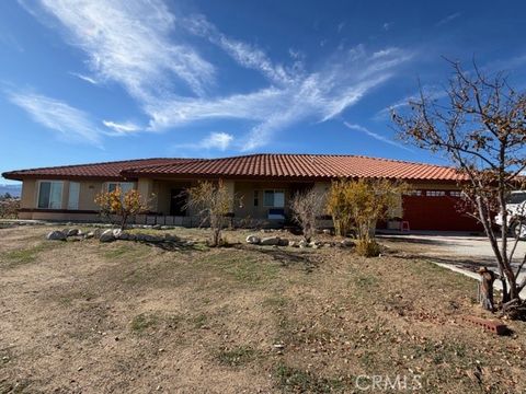 4679 Gorgonio Phelan CA 92371