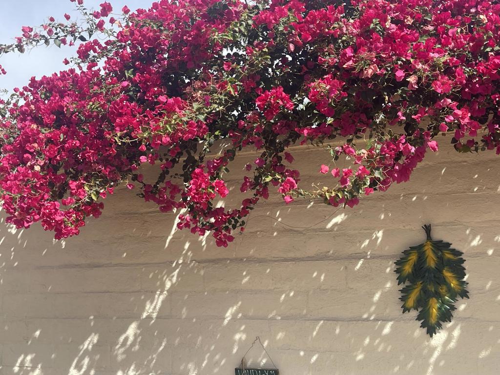 Rancho Casa Blanca - Land