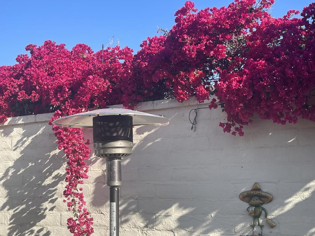 Rancho Casa Blanca - Land