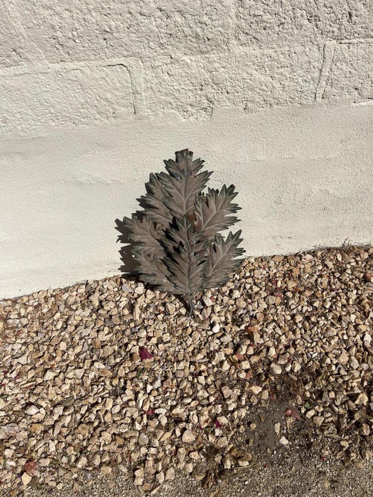 Rancho Casa Blanca - Land