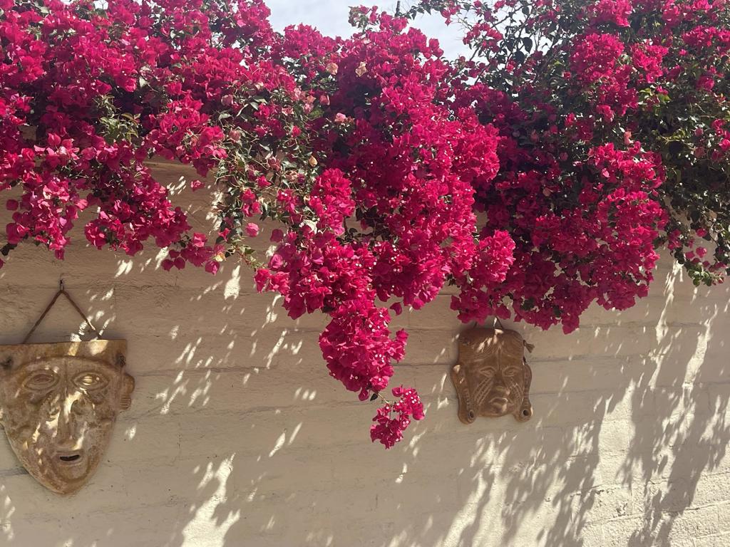 Rancho Casa Blanca - Land