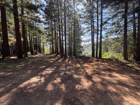 Photo of 7175 Redwood Retreat RD, Gilroy, CA 95020 (MLS # ML82046098)