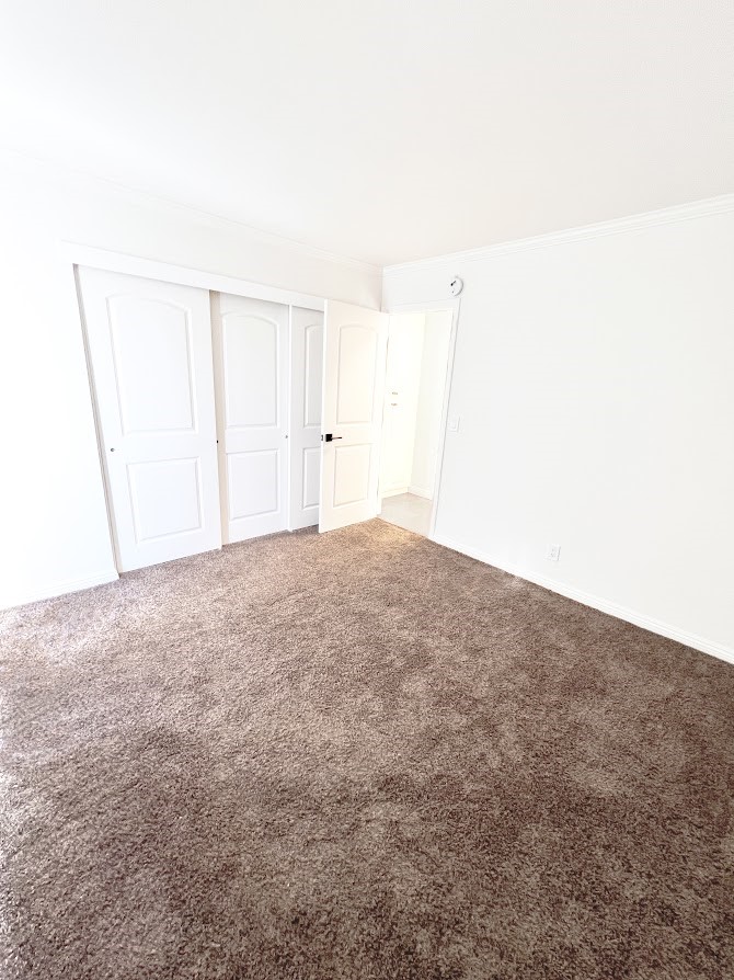 Downtown Area (DOWN) - Residential Lease